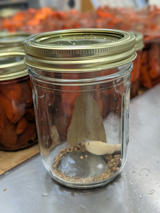 Clear glass jar with spices inside, on a metal surface with blurred jars of carrots in the background.
